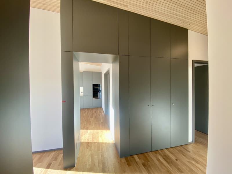 Magnifico appartamento 4,5 locali con vista sul lago (11)
