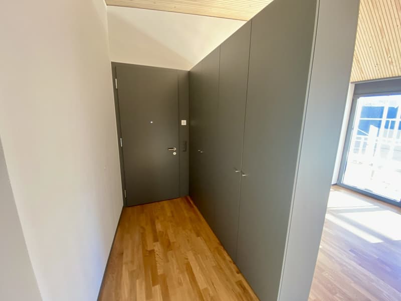 Magnifico appartamento 4,5 locali con vista sul lago (4)