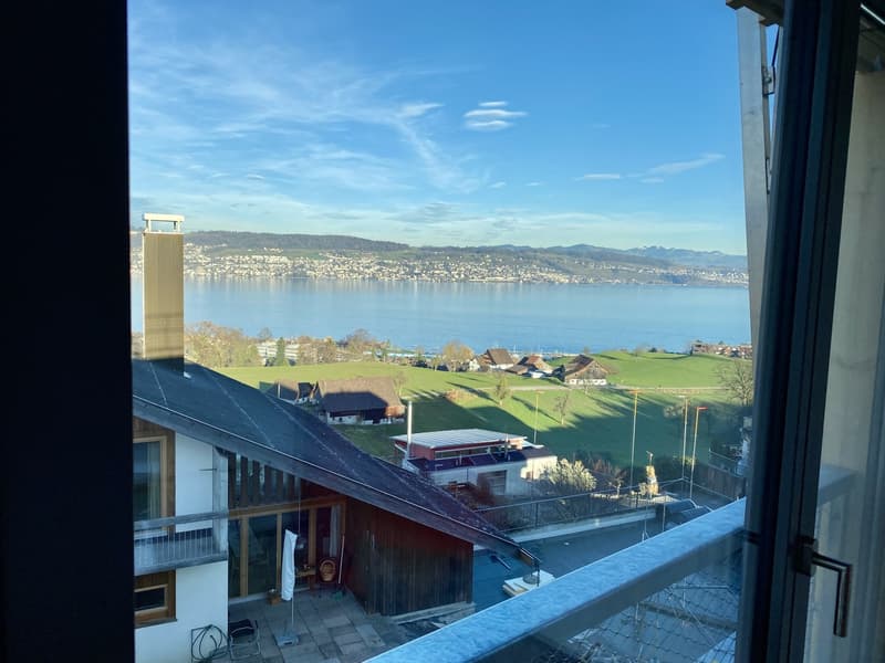 Magnifico appartamento 4,5 locali con vista sul lago (7)