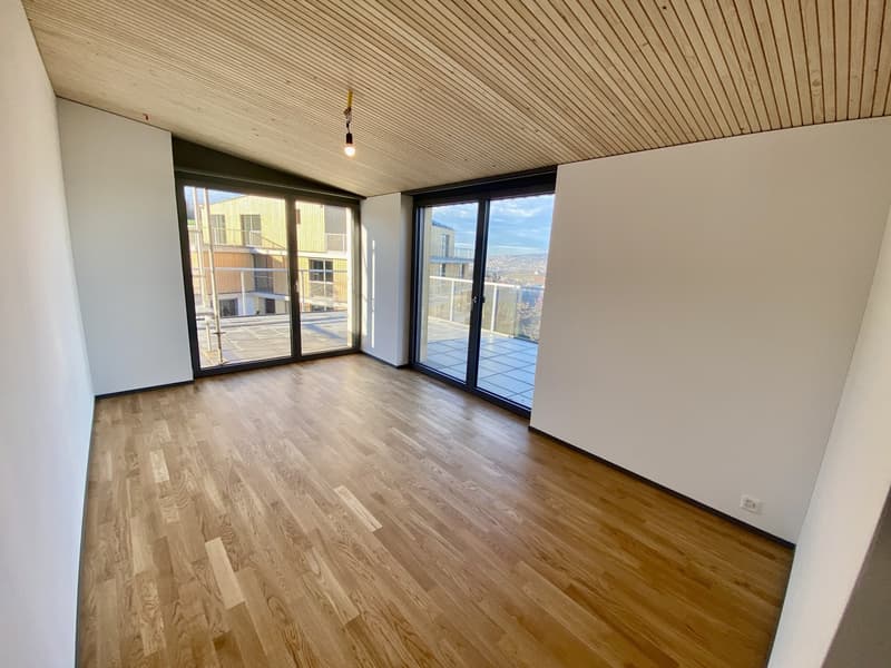 Magnifico appartamento 4,5 locali con vista sul lago (2)