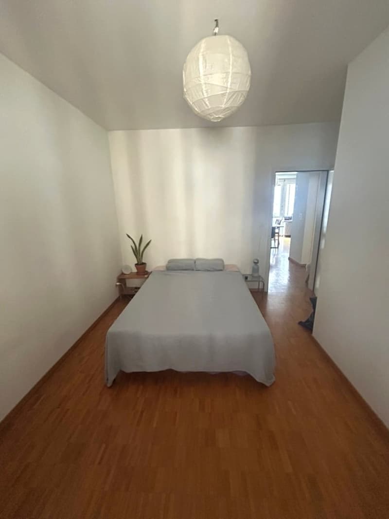TEMPORAIRE : Merveilleux appartement 3 pièces dans un emplacement très central (4)
