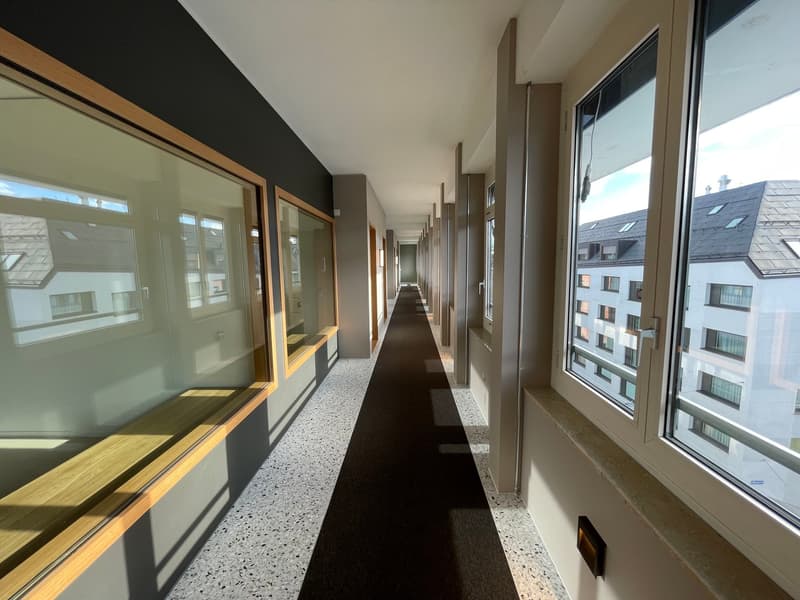 Loft moderno 2 locali con balcone lussuoso a Seefeld (3)