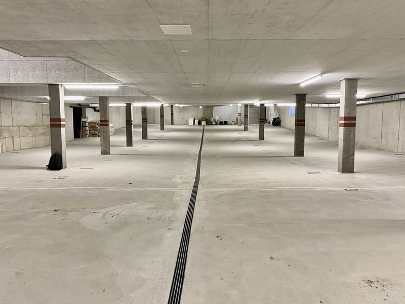 Appartement de jardin attractif de 3,5 pièces avec espace de séjour (9)