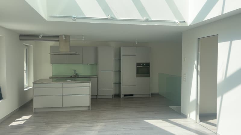 Appartement de 3,5 pièces élégant avec terrasse ensoleillée sur le toit au cœur de Zurich (2)