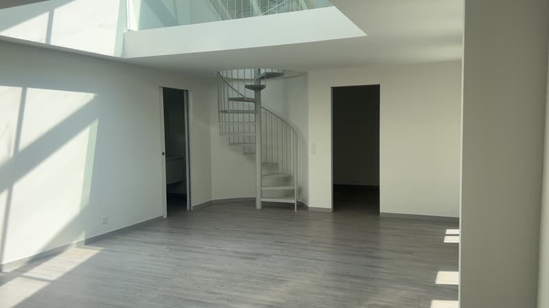 Appartement de 3,5 pièces élégant avec terrasse ensoleillée sur le toit au cœur de Zurich (4)