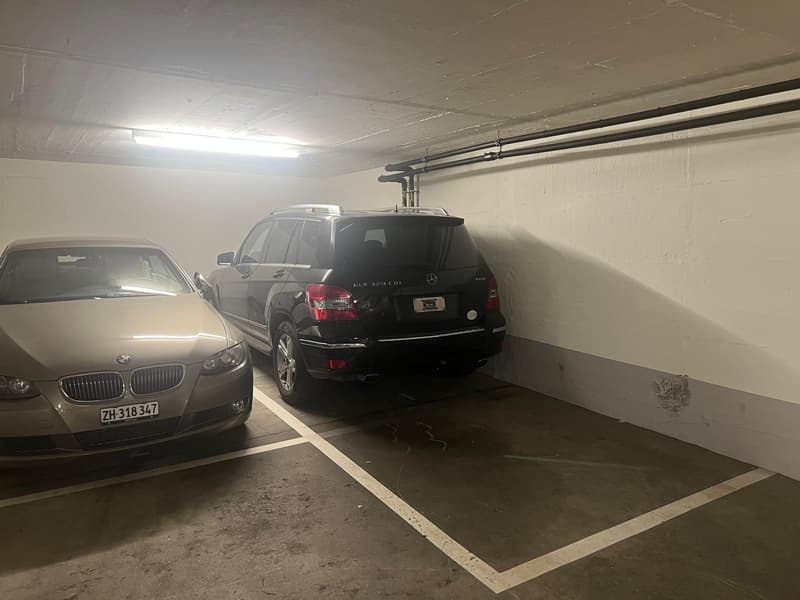 Tiefgaragen- und Aussenparkplätze verfügbar (1)