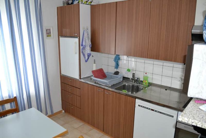 Charmante 2-Zimmer-Wohnung an der Zelgstrasse in Zürich (7)