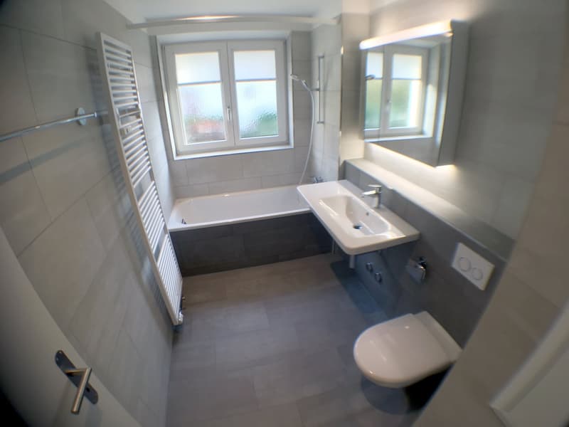 Moderne und helle 2.5 Zimmer-Wohnung Nähe Uetliberg (5)