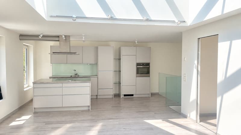 Moderne 2.5-Zimmer-Wohnung mit Dachgarten in Zürich 8004 (2)