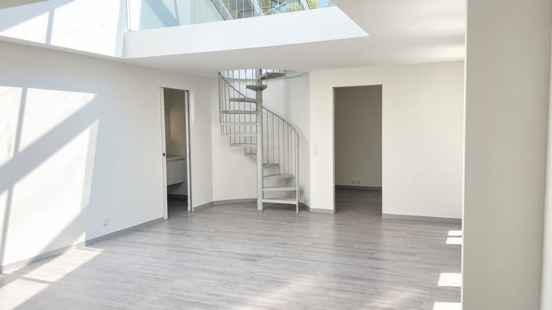 Moderne 2.5-Zimmer-Wohnung mit Dachgarten in Zürich 8004 (1)