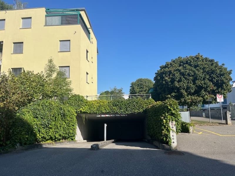 Individuelles Wohnen | 4.5-Zimmer-Wohnung in Dottikon (11)