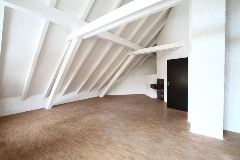 Temporary rent until 30.06.2027 (20)