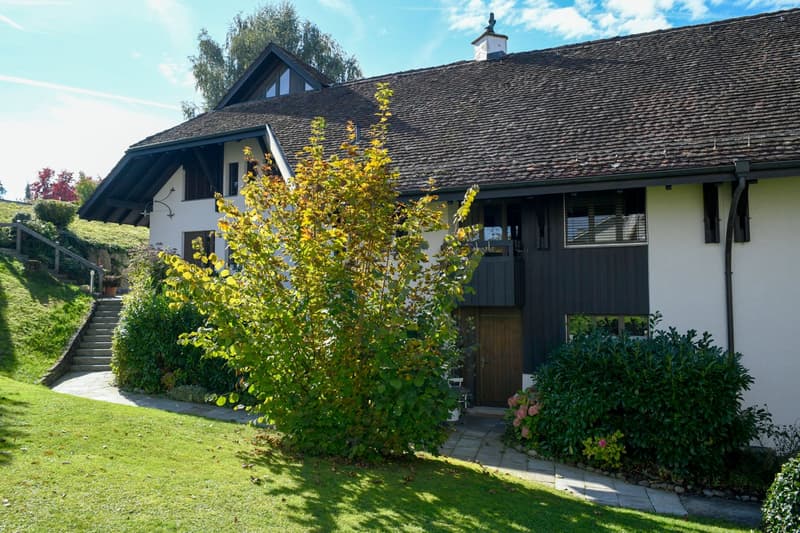 Temporary rent until 30.06.2027 (3)