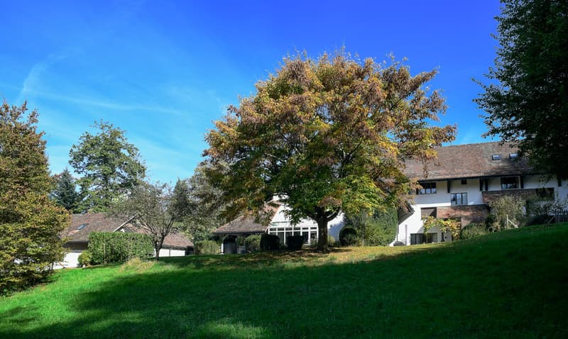 Temporary rent until 30.06.2027 (2)