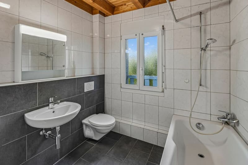 Beste Lage in Zollikerberg (9)