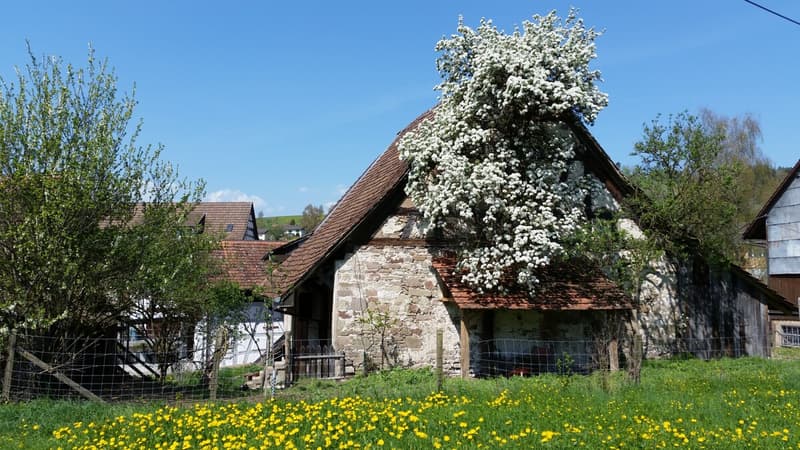 x_Südostseite_20180421_123833