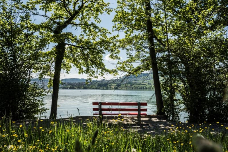 Ihre 4 Etagen zum Geniessen & Aufblühen (8)
