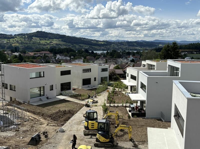 Ihr Zuhause mit Blick zum Hallwilersee (1)