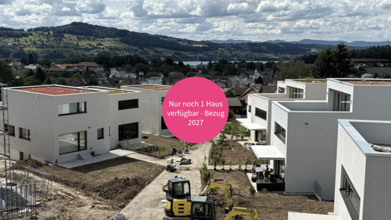 Letzte Gelegenheit - Ihr Zuhause mit Blick zum Hallwilersee (1)