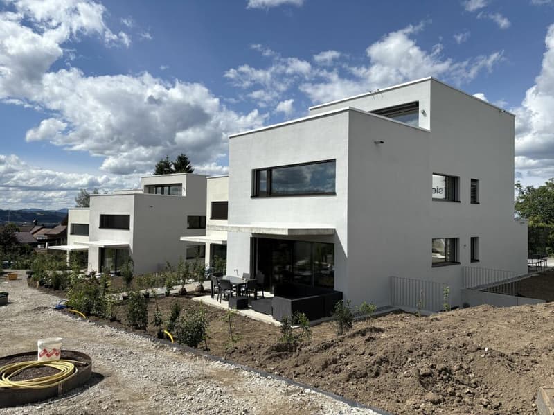 Letzte Gelegenheit - Ihr Zuhause mit Blick zum Hallwilersee (2)
