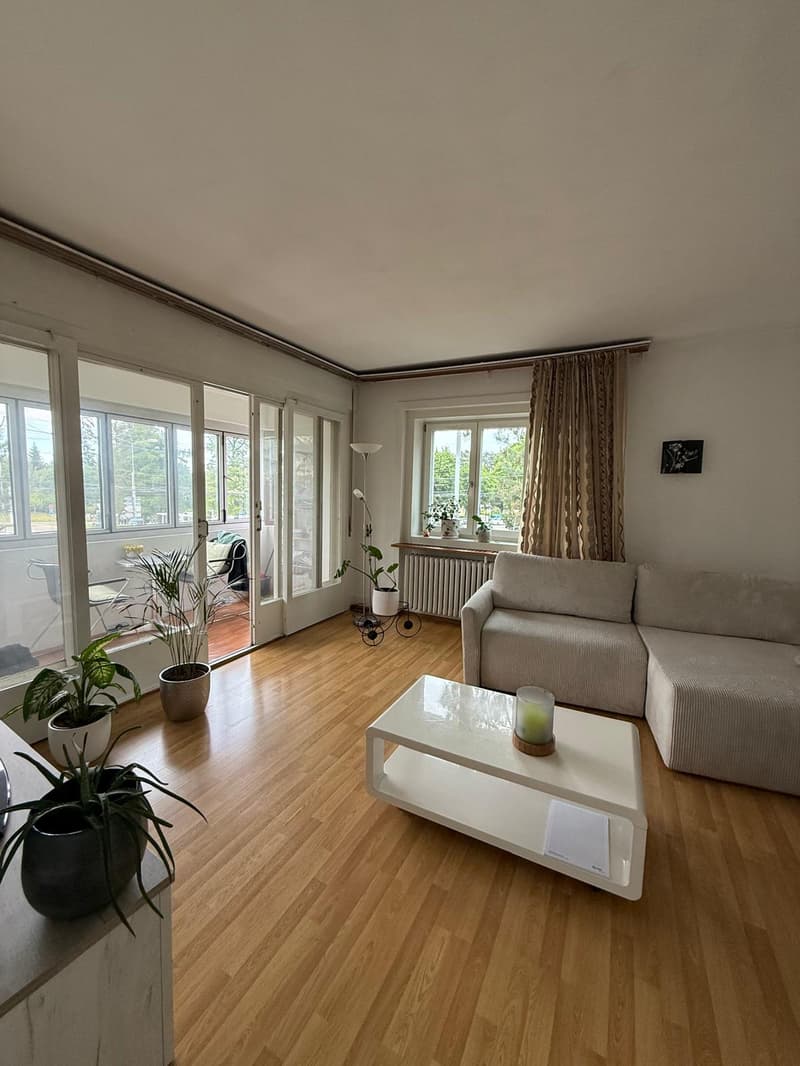 Apartment near ETH (8)