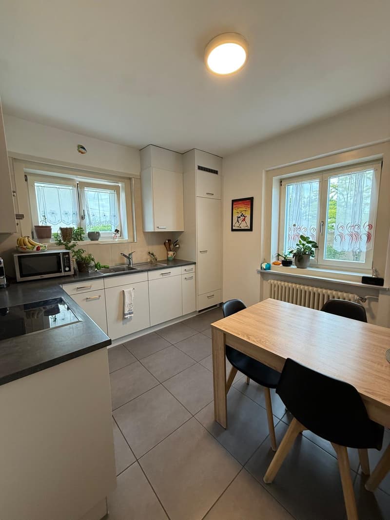 Apartment near ETH (4)