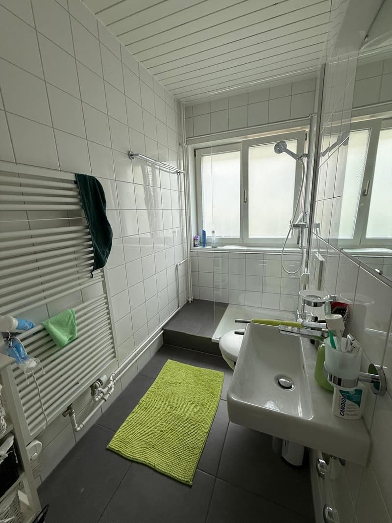 Apartment near ETH (12)