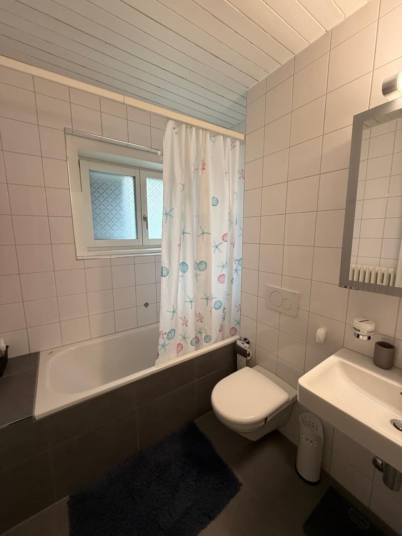Apartment near ETH (11)