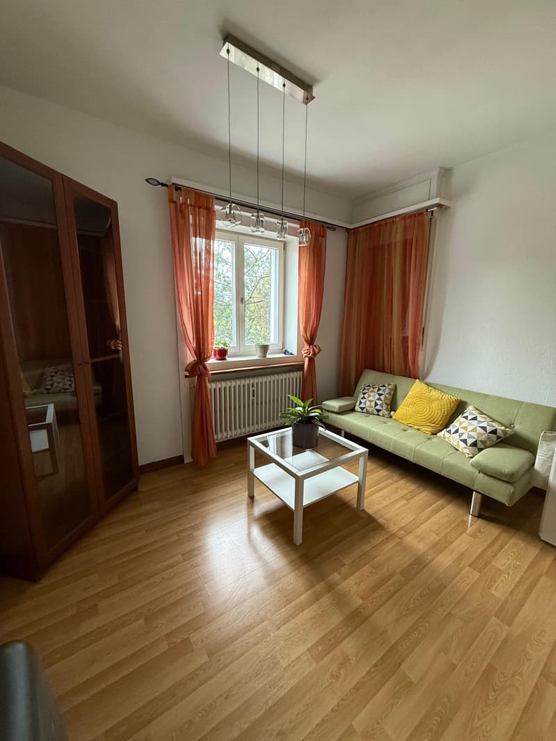 Apartment near ETH (10)