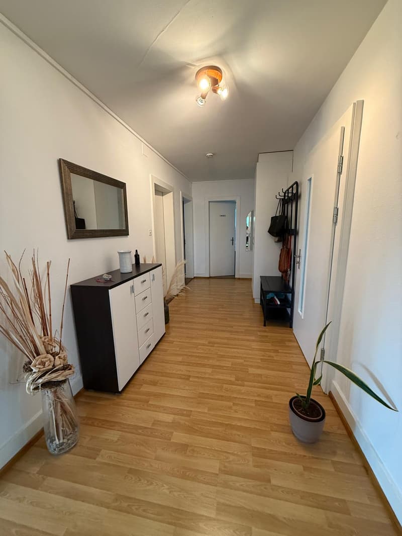 Apartment near ETH (5)