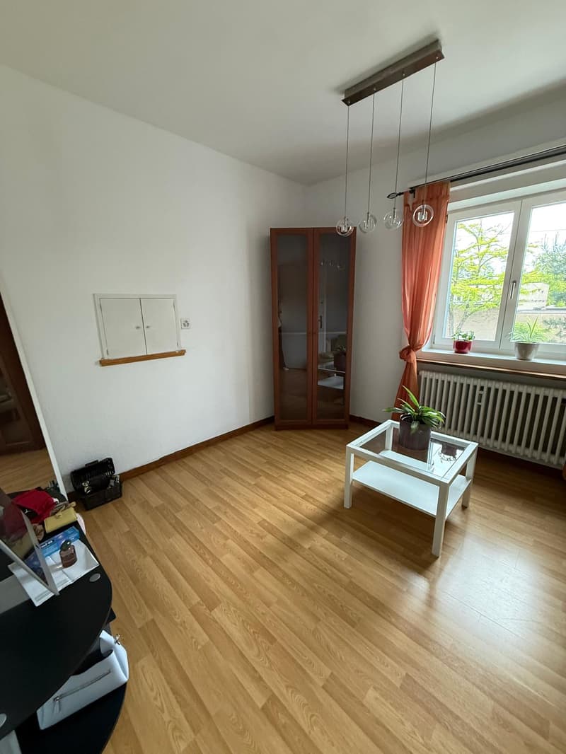Apartment near ETH (9)
