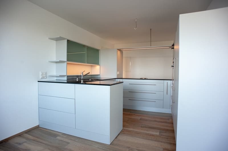 Attic apartment in an absolute dream location at the foot of the Uetliberg (4)