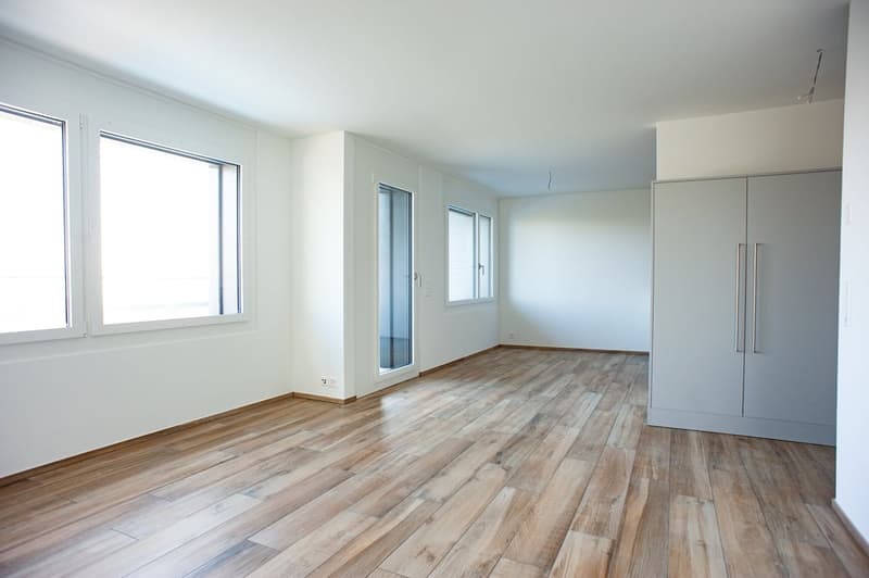 Attic apartment in an absolute dream location at the foot of the Uetliberg (9)