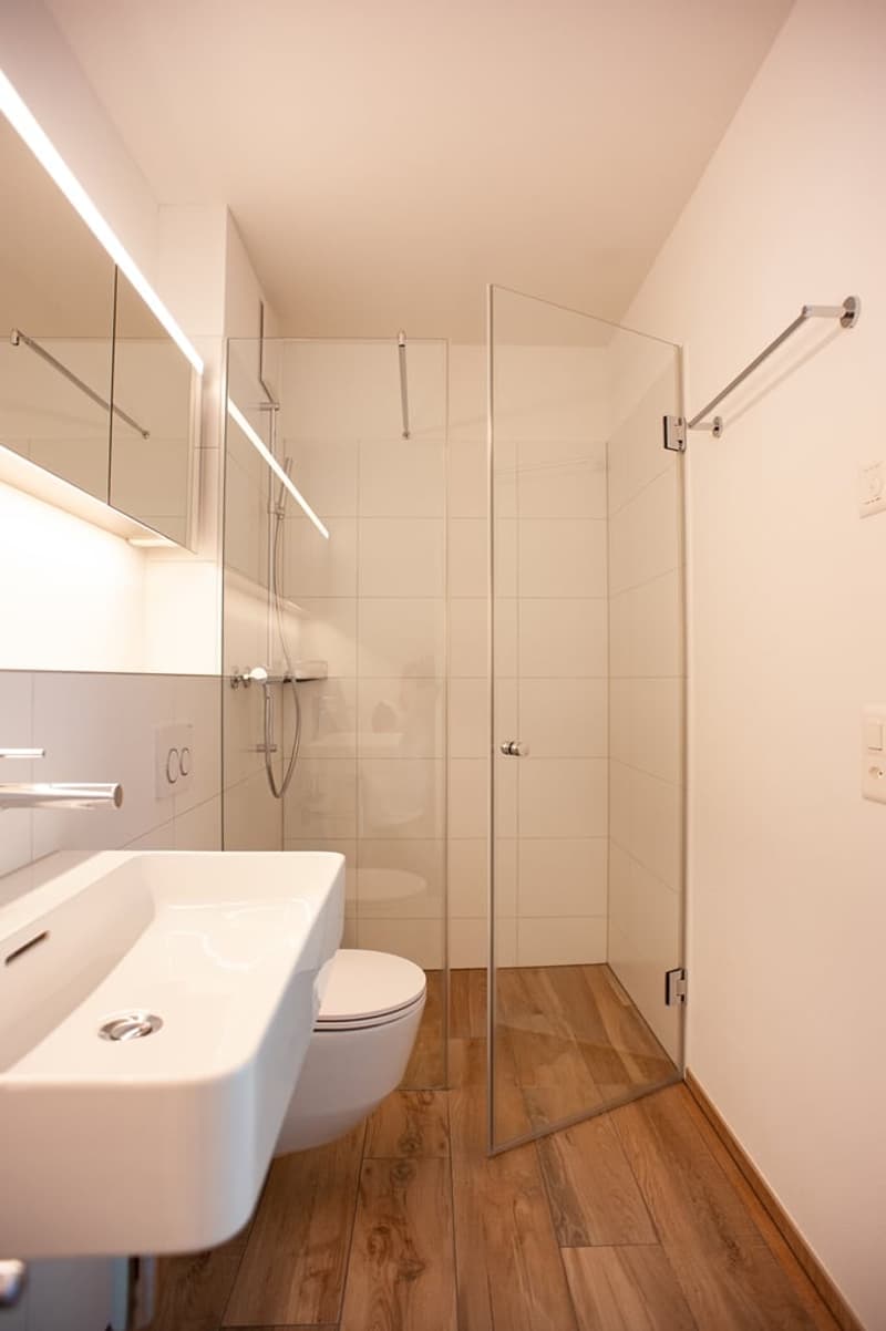 Attic apartment in an absolute dream location at the foot of the Uetliberg (6)