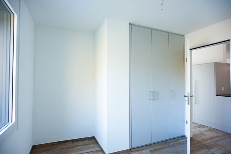 Attic apartment in an absolute dream location at the foot of the Uetliberg (11)