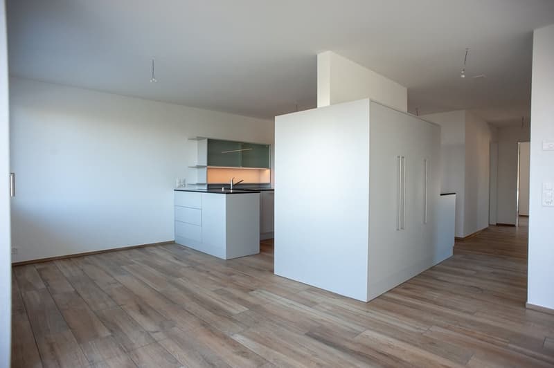 Attic apartment in an absolute dream location at the foot of the Uetliberg (2)