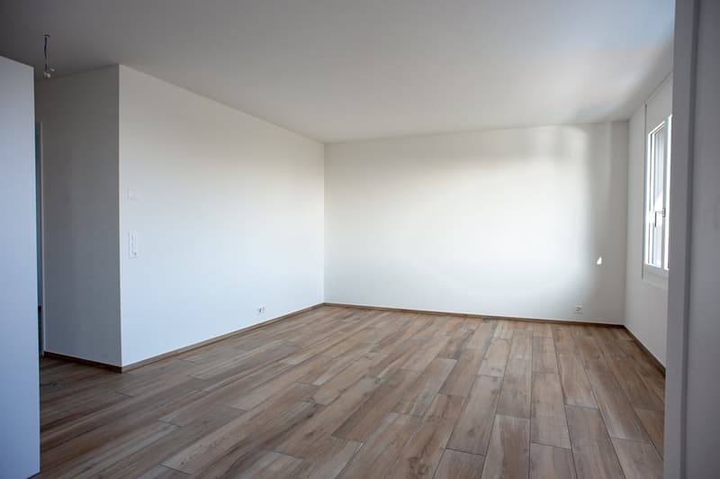 Attic apartment in an absolute dream location at the foot of the Uetliberg (7)