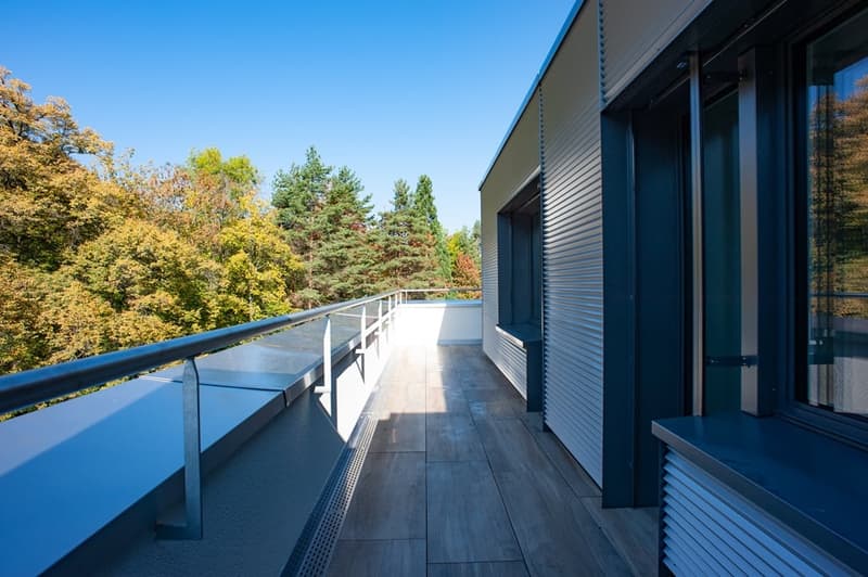 Attic apartment in an absolute dream location at the foot of the Uetliberg (13)