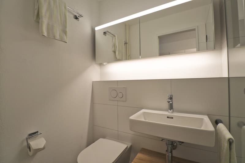 modern bathroom, white tiles, silver sink, white toilet, white towel