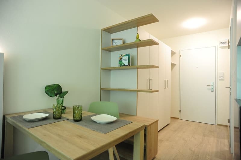 Modern Living mit Aussicht – Möblierte Apartments am Uetliberg (8)