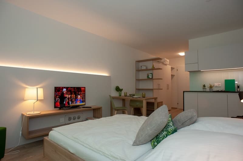 Modern Living mit Aussicht – Möblierte Apartments am Uetliberg (5)