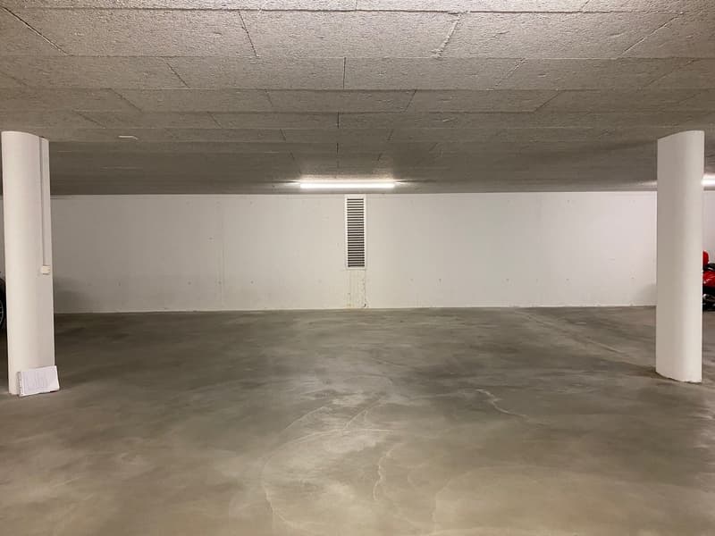 Luxuriöse 3 ½-Zimmer Parterrewohnung in Zollikon (13)
