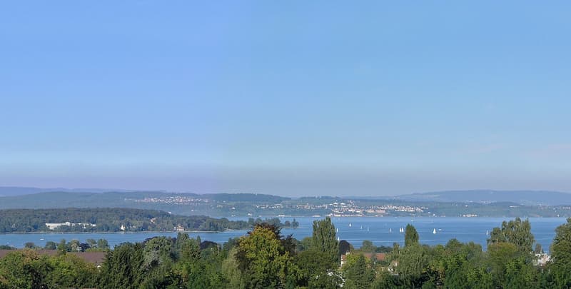 Villa di prima classe con vista lago 180, una posizione unica su una collina sopra Kreuzlingen sul lago di Costanza (5)