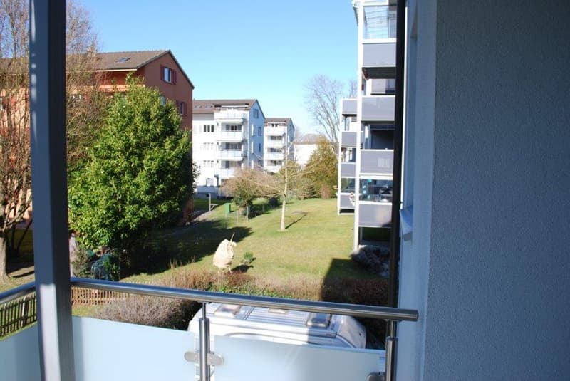Metal railing, grassy area, street and trees in the distance, gray walls