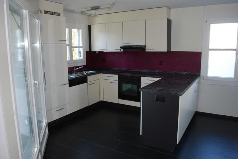 modern kitchen, white cabinets, granite countertops, built-in appliances, large sink, black tiled floor