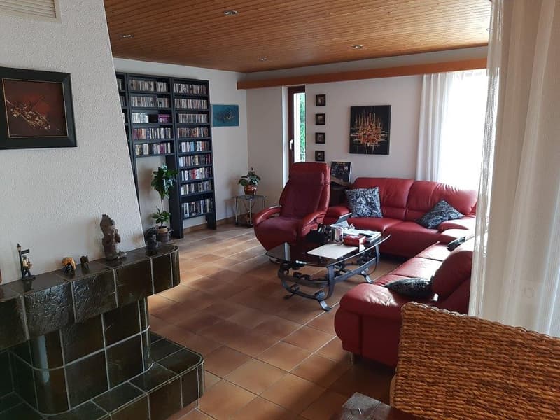 red leather sofa, coffee table, fireplace, bookcase, plants, picture frames, window