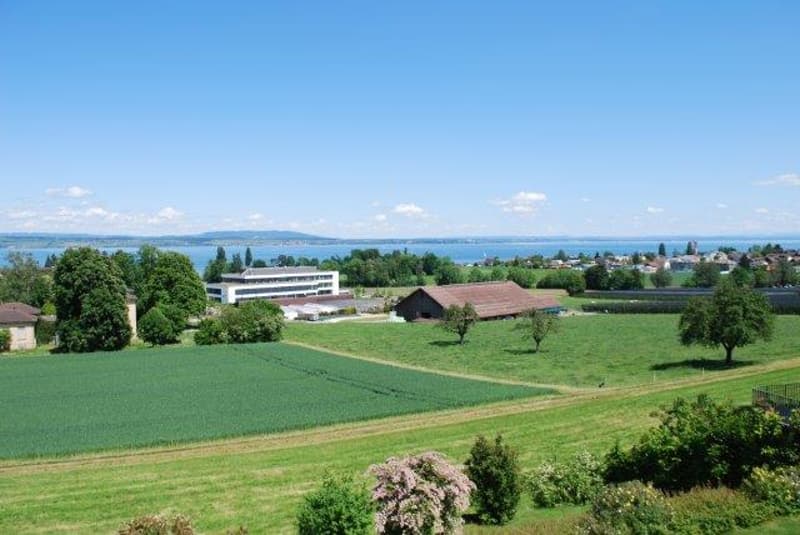 Appartement lumineux 4.5 pièces avec vue sur le lac à Münsterlingen – disponible immédiatement ! (1)