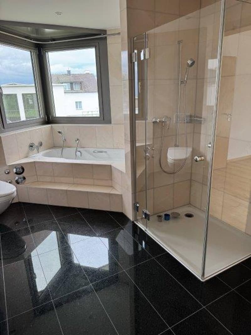 Helle 4.5-Zimmer-Wohnung mit Seesicht in Münsterlingen – sofort verfügbar! (11)