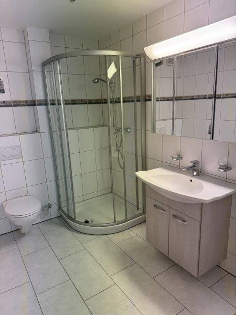 Helle 4.5-Zimmer-Wohnung mit Seesicht in Münsterlingen – sofort verfügbar! (14)