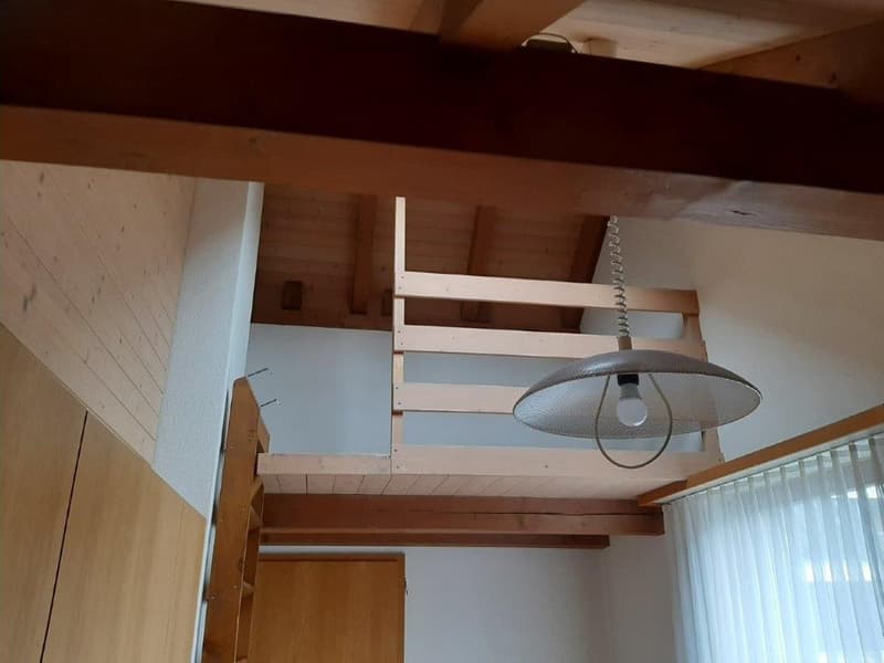 Charmantes 5.5-Zimmer-Einfamilienhaus mit Kamin in Kreuzlingen (14)